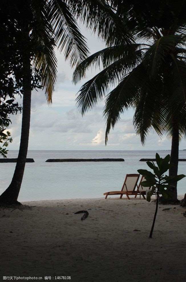 马尔代夫旅游椰子岛海边图片