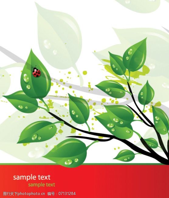树叶图片免费下载矢量精美绿树叶高清素材