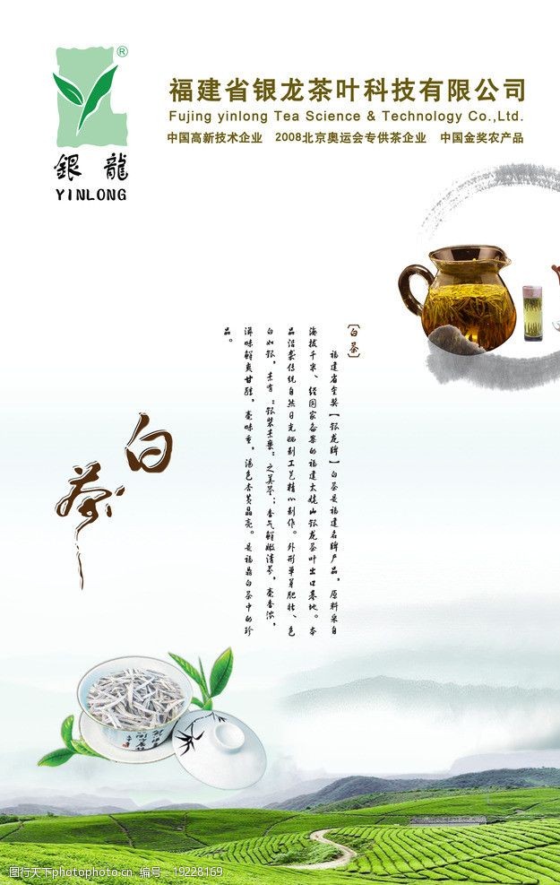 茶农白茶海报图片
