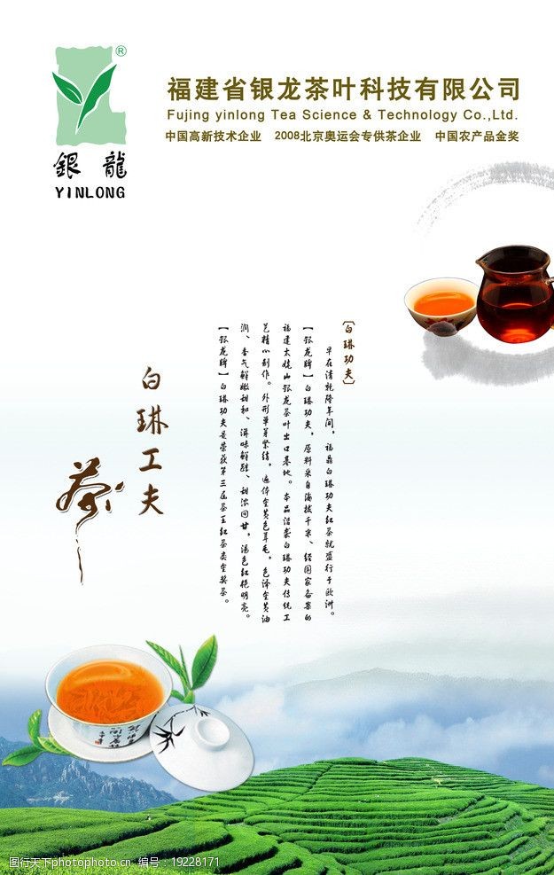 茶农白琳工夫茶海报图片