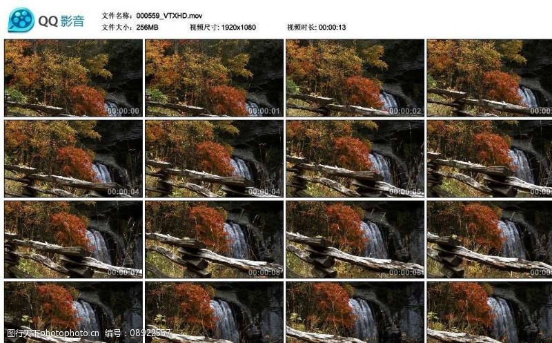 剪辑森林中的瀑布高清实拍视频素材