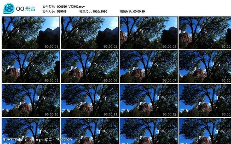 剪辑山中树木高清实拍视频素材