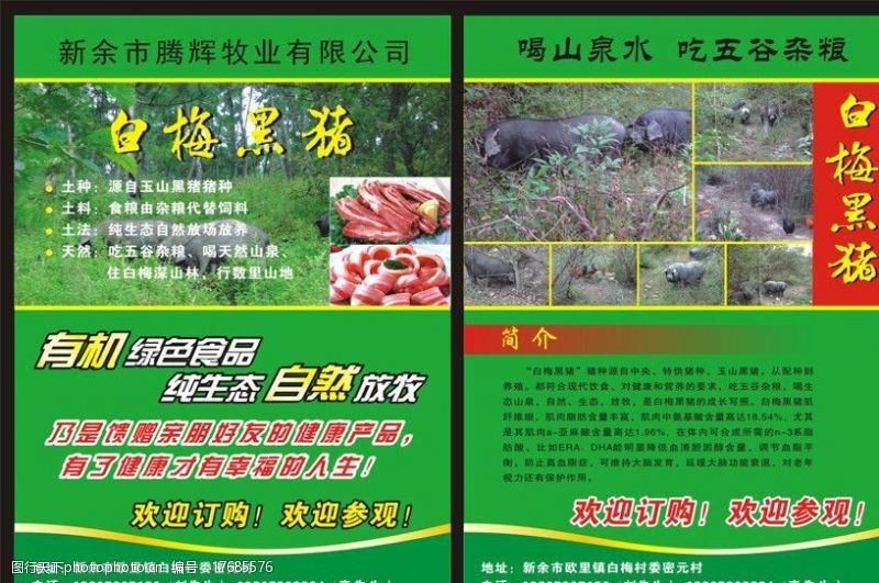 白梅猪肉宣传单图片
