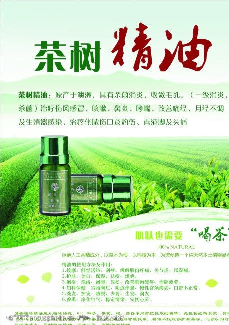 青茶茶树精油护肤品宣传海报图片