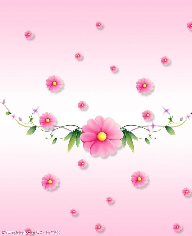 藤条粉色花朵图片