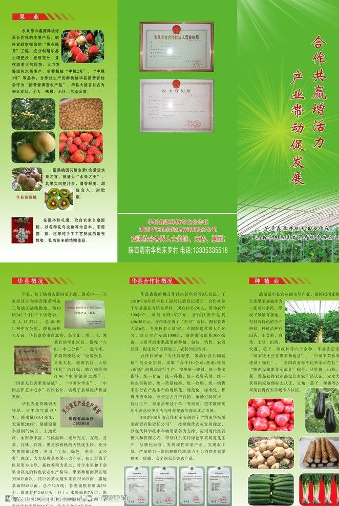蔬菜三折页华县合作社三折页图片