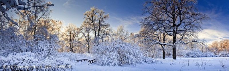 旷野冬季雪景全景图片