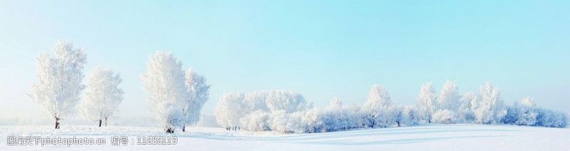 旷野冬季雪景全景图图片