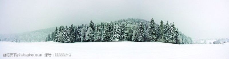 旷野冬季雪景全景图图片