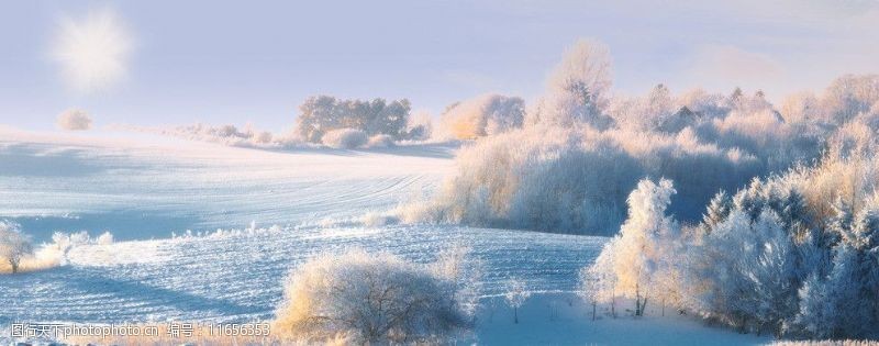旷野冬季雪景图片