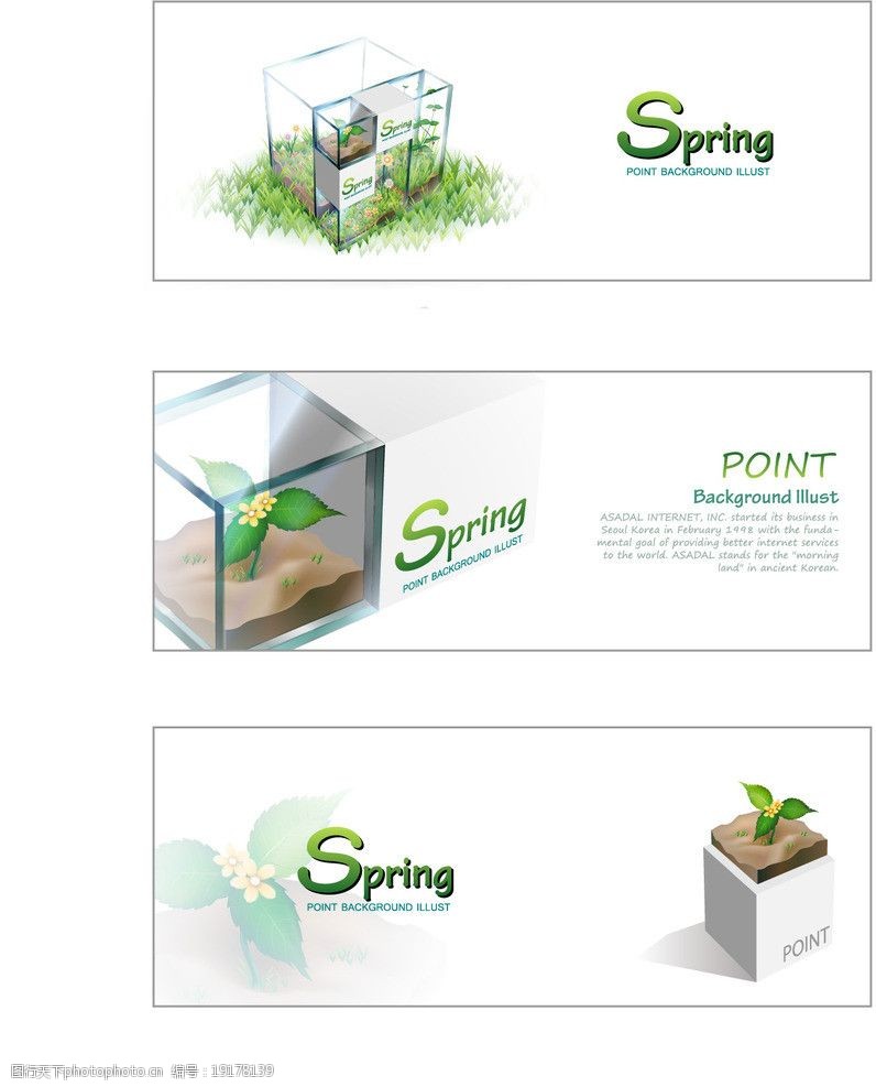 春天花朵素材绿色环保spring植物图片
