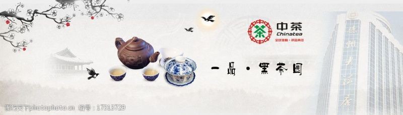 茶标志中茶图片