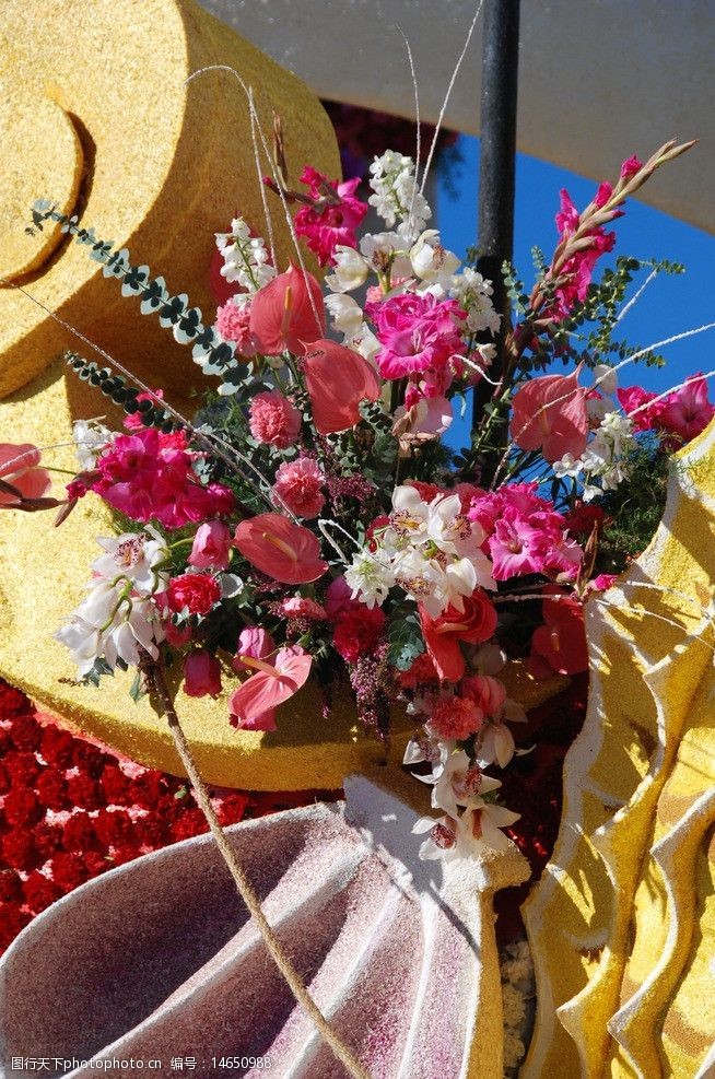异国风情帕萨迪纳市玫瑰花车大游图片