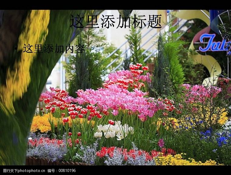 flowers温室花卉PPTFlowersinGreenhouse6