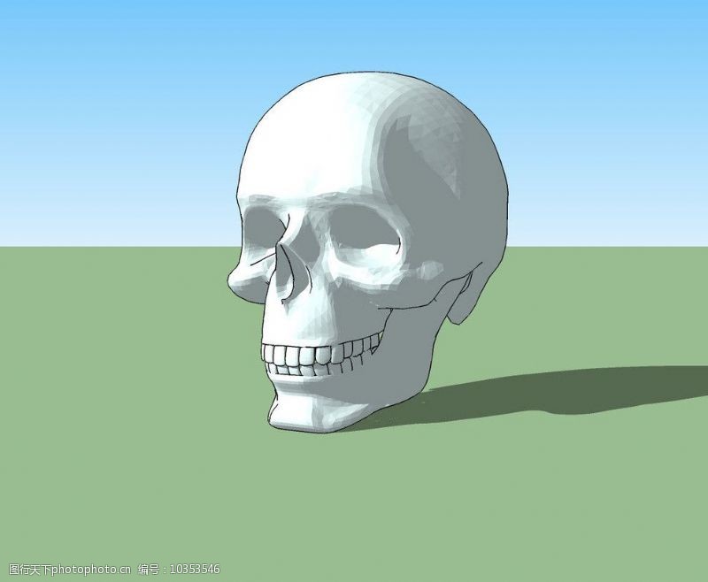 精选头骨3D模型图片