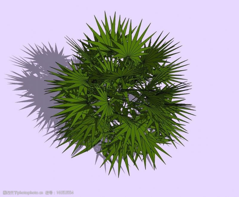 精选植物3D模型图片