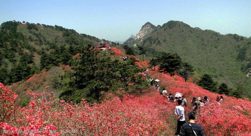 旅客麻城龟峰山风景图片