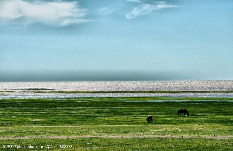 扎赉诺尔恬静的草原湖图片