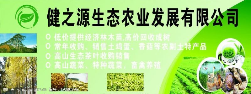 茶农健之源生态农业图片