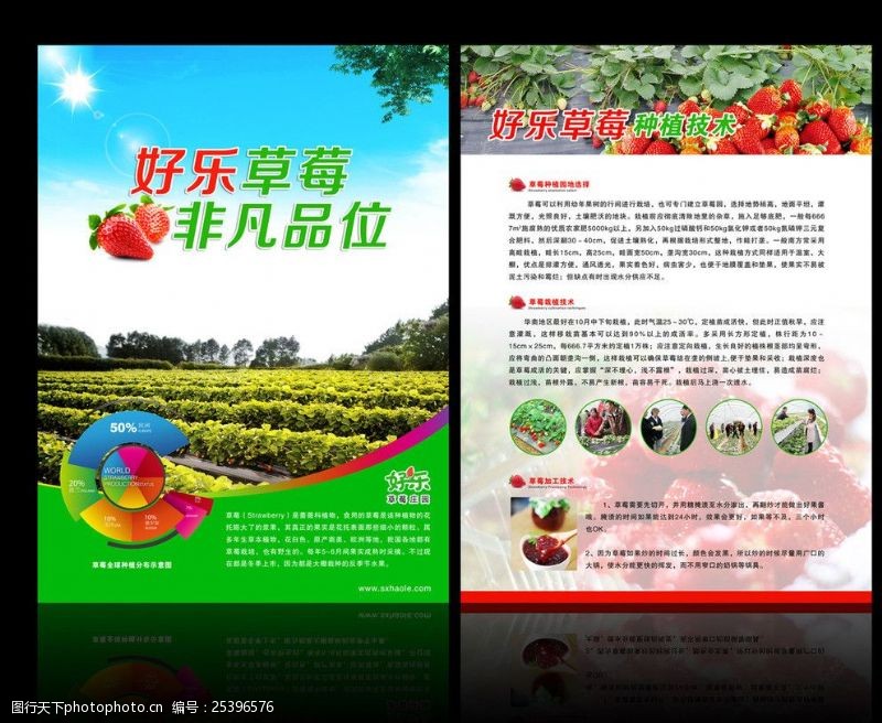 农场宣传单草莓广告