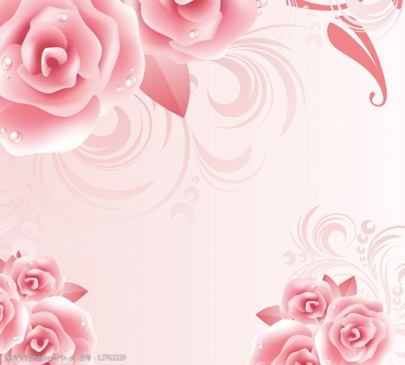 潮流花卉粉红玫瑰背景图片