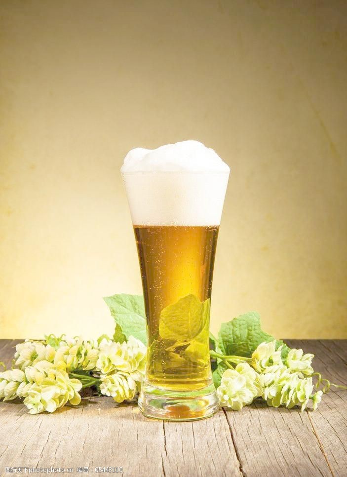 饮料矢量素材啤酒图片