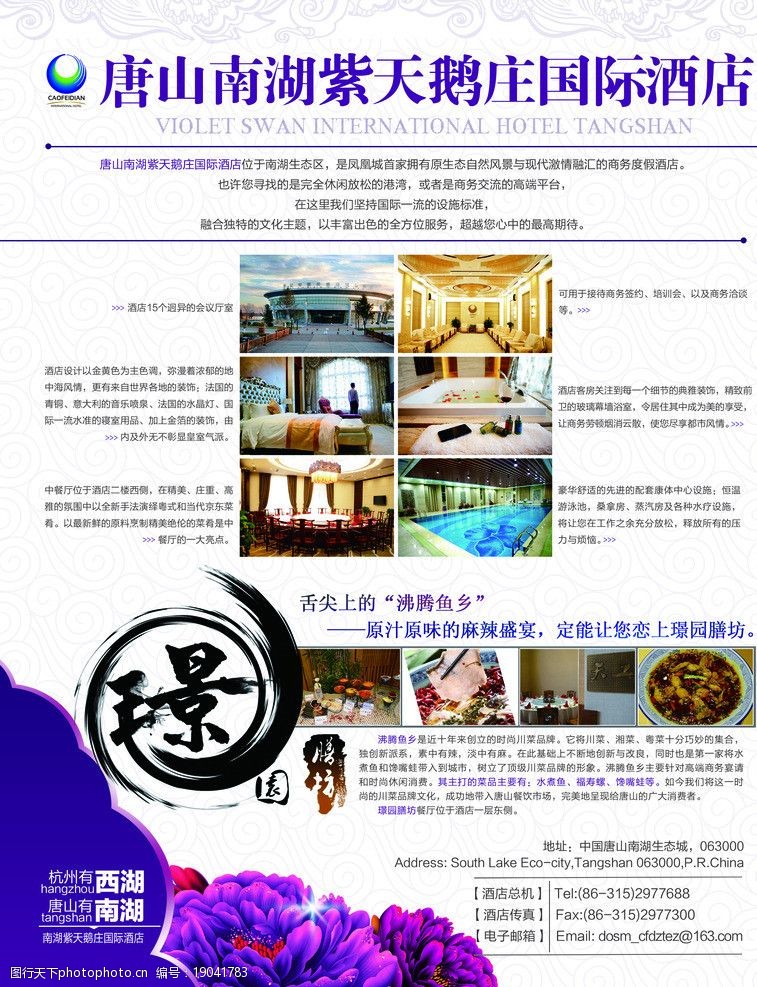 沸腾紫天鹅酒店海报图片