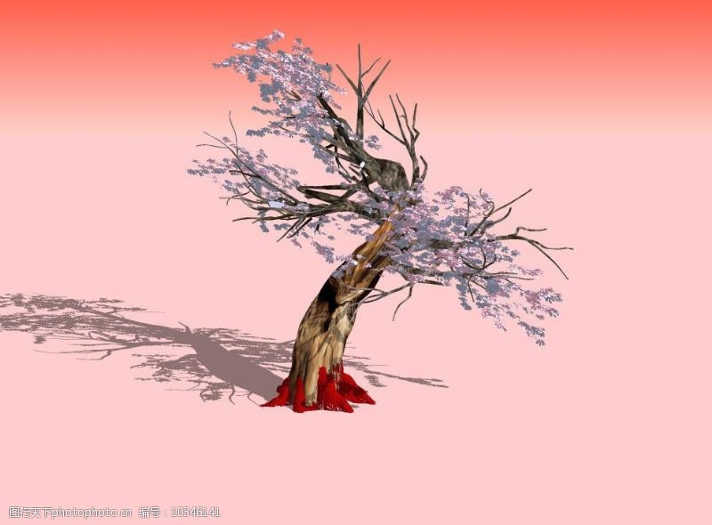精选老梅树3D模型图片
