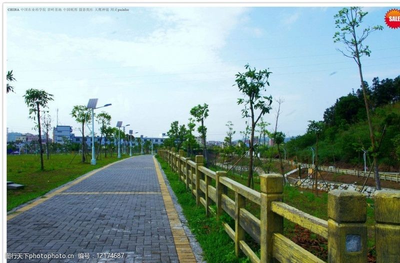 科技农业中国农业科技园长廊图片