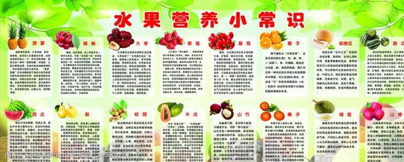 苹果树水果营养小常识海报图片
