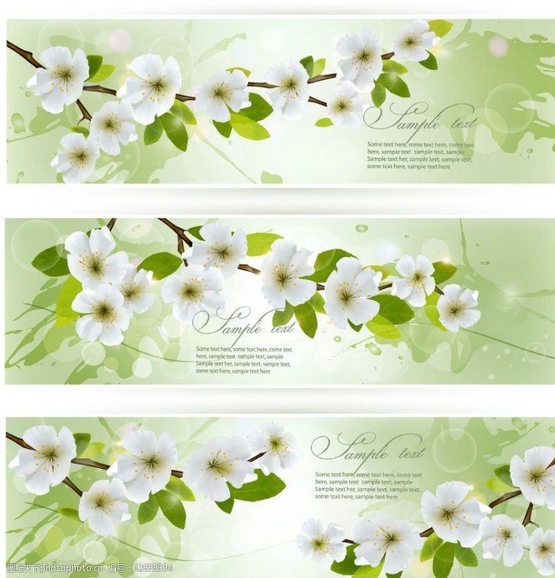 花纹花卉横幅绿叶鲜花春天背景图片