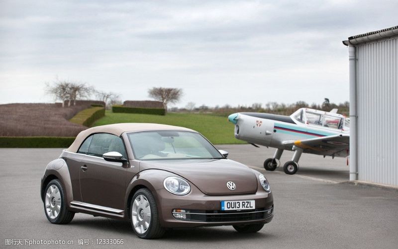 大众甲壳虫甲壳虫图片