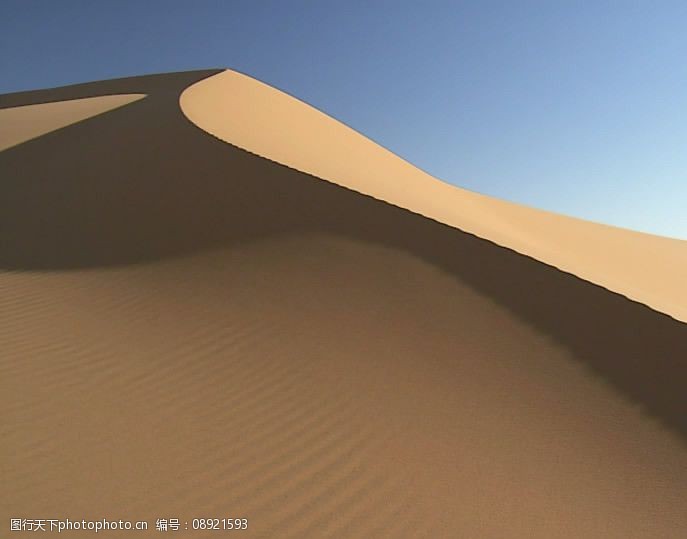 剪辑沙漠风情骆驼沙漠