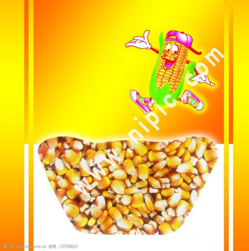 玉米糁图片