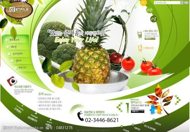 世界设计大师水果网页设计模板图片