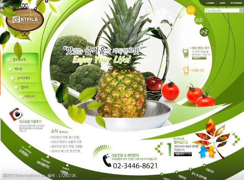 网页设计大师水果网页设计模板图片