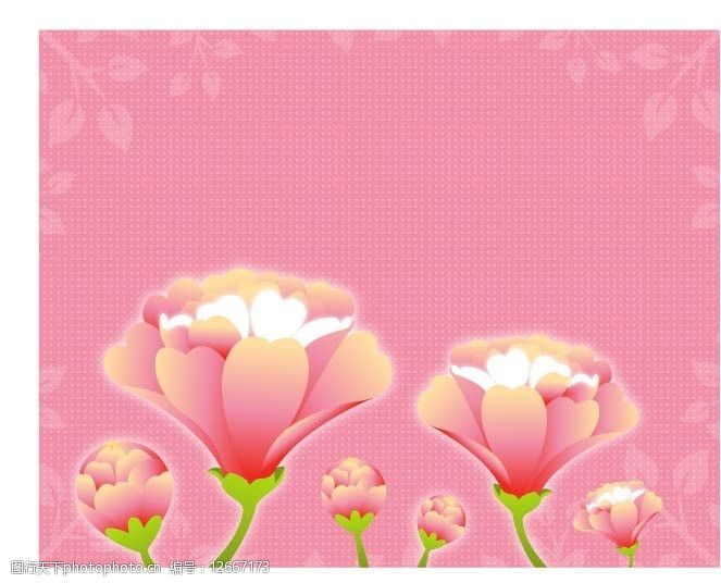花纹花卉横幅粉花背景图片