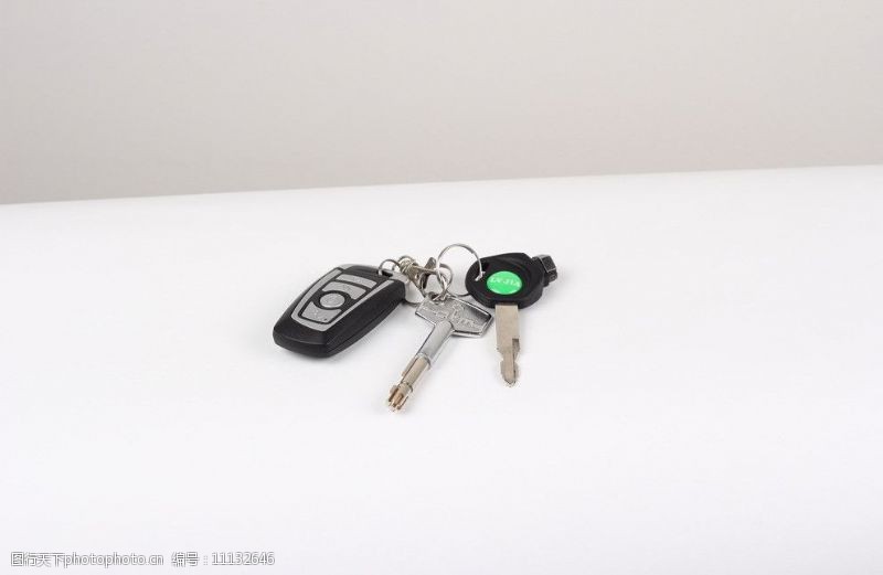 绿佳电动车钥匙图片