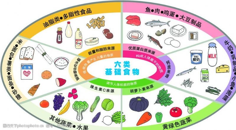 大豆制品图片免费下载 大豆制品素材 大豆制品模板 图行天下素材网