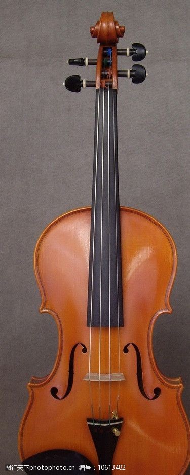 西洋乐器小提琴图片