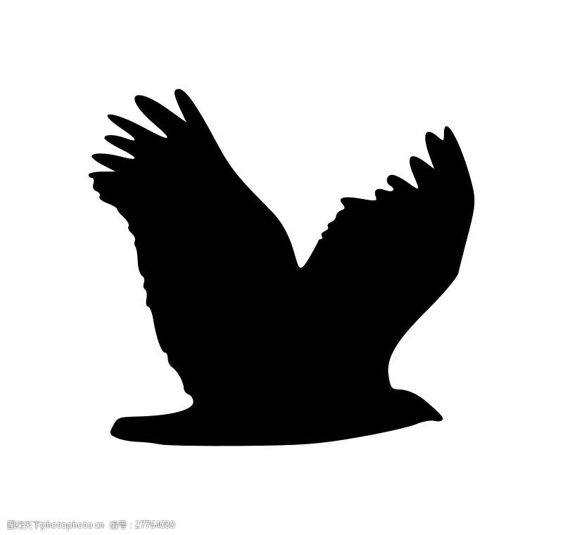 黑色的剪影鹰的轮廓1
