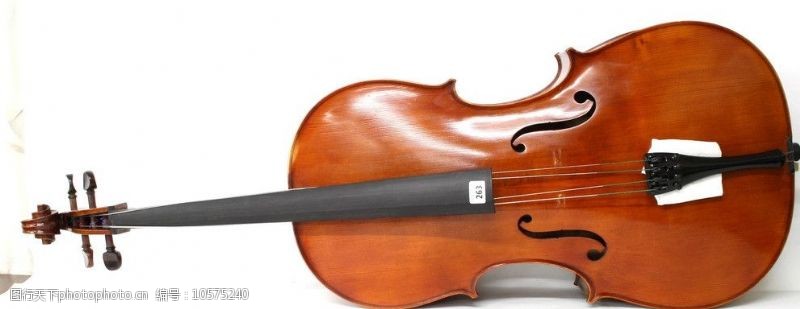 西洋乐器小提琴图片