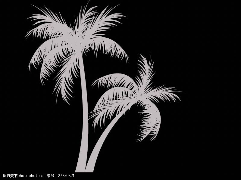椰树逼真的椰子树