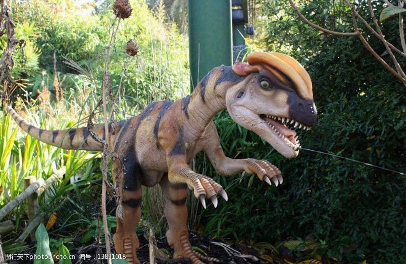 史前巨兽恐龙高清图片