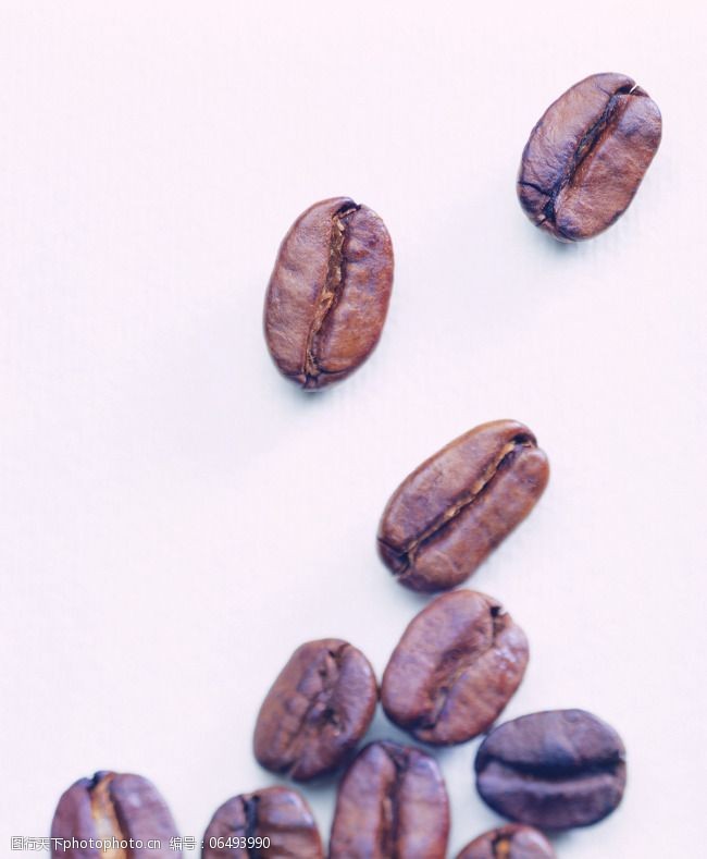 咖啡豆摆放前进中的咖啡豆咖啡种子