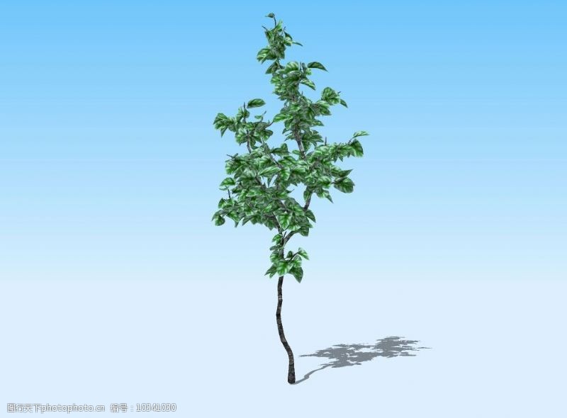 精选小树3D模型图片