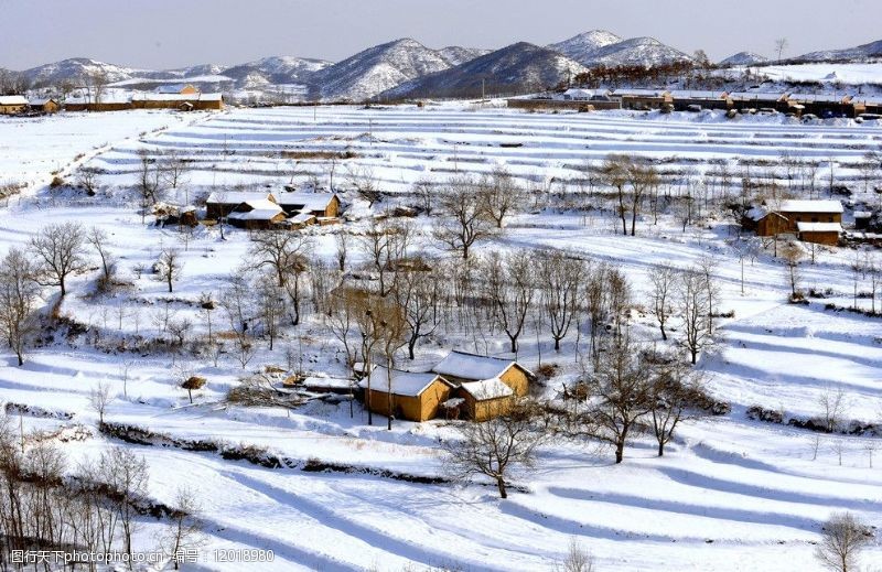 冬景色图片免费下载 冬景色素材 冬景色模板 图行天下素材网