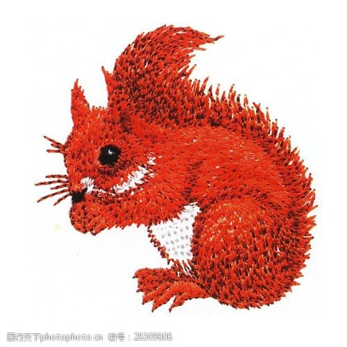 绣花动物松鼠色彩红色免费素材