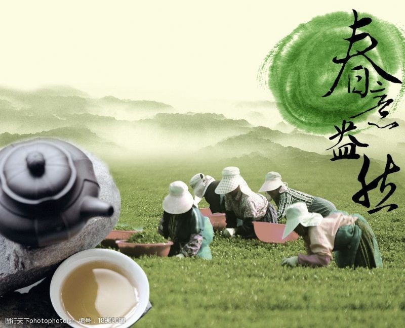 茶农春意盎然茶图片