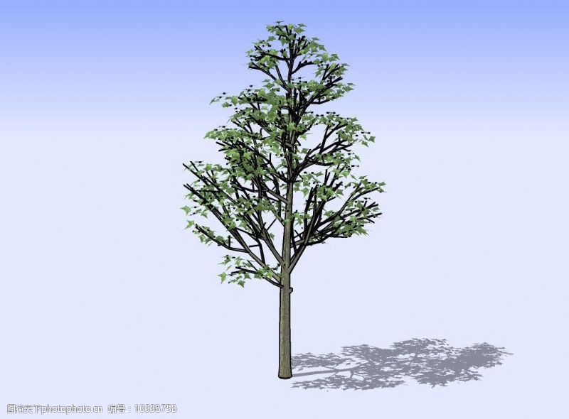 精选杂树3D模型图片